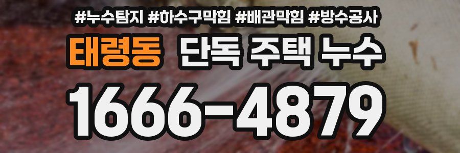 태령동 단독 주택 누수