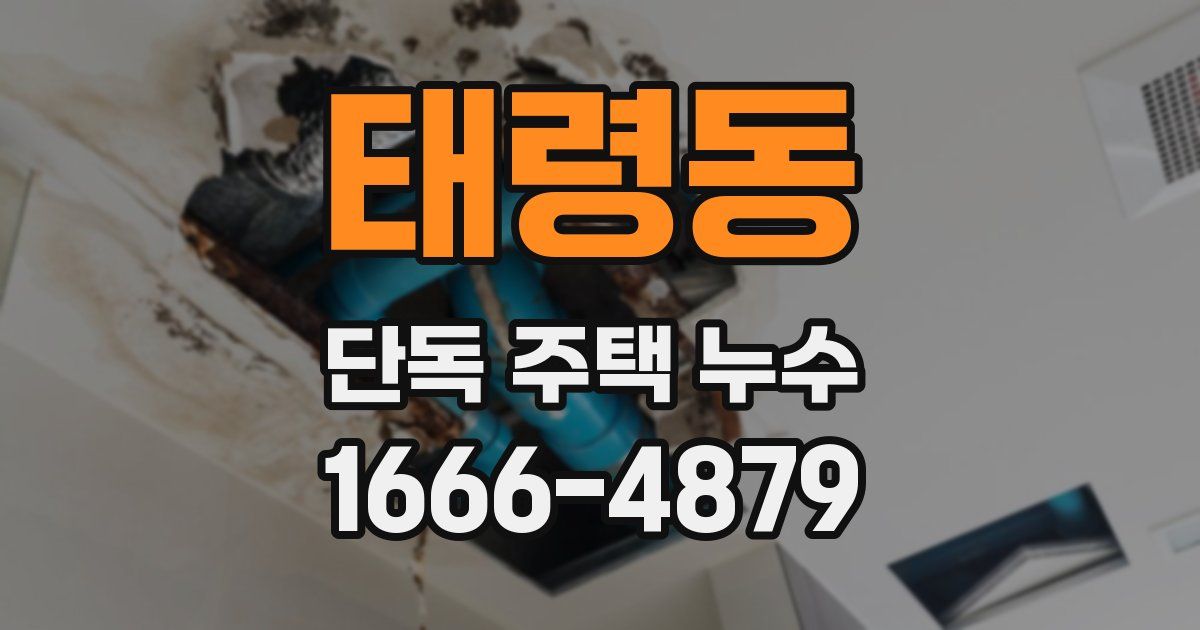 태령동 단독 주택 누수