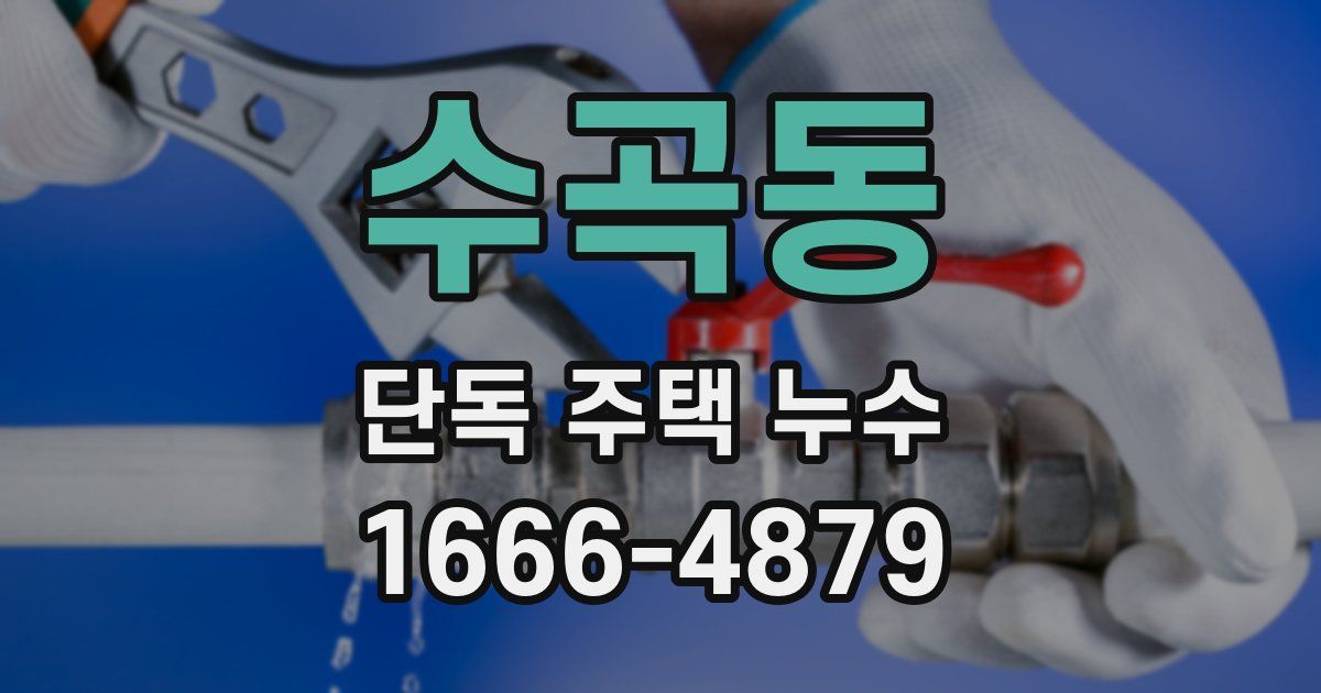 수곡동 단독 주택 누수