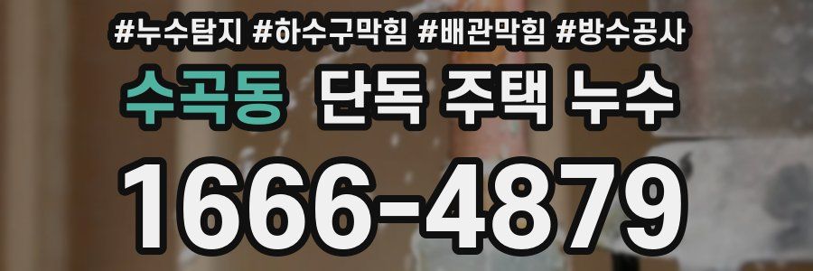 수곡동 단독 주택 누수