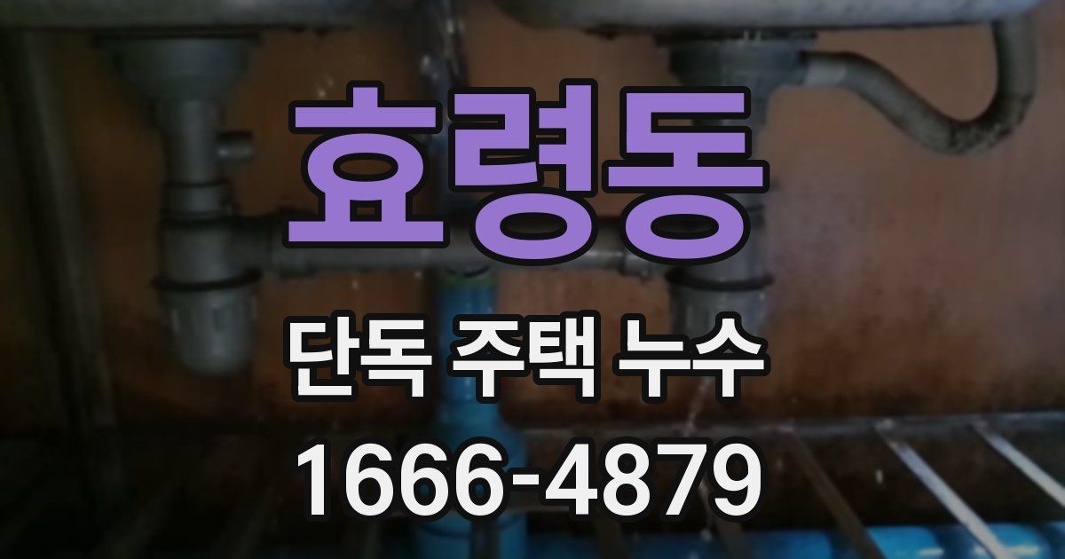 효령동 단독 주택 누수