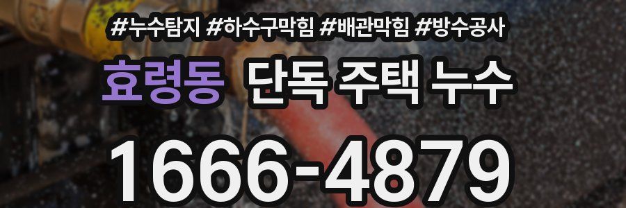 효령동 단독 주택 누수