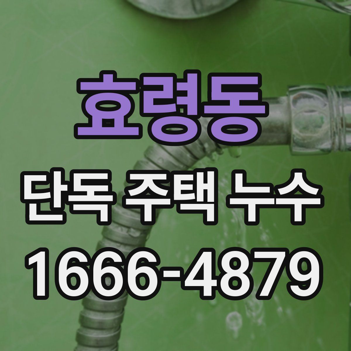 효령동 단독 주택 누수