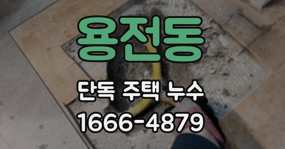 용전동 단독 주택 누수