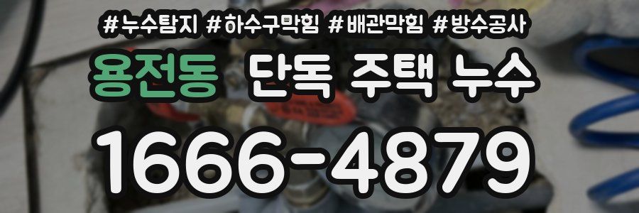 용전동 단독 주택 누수