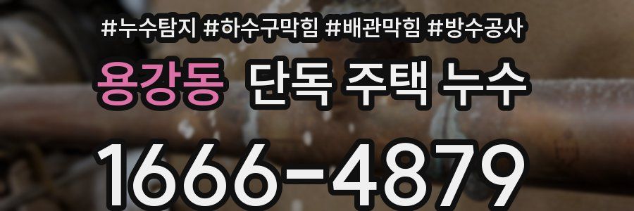 용강동 단독 주택 누수