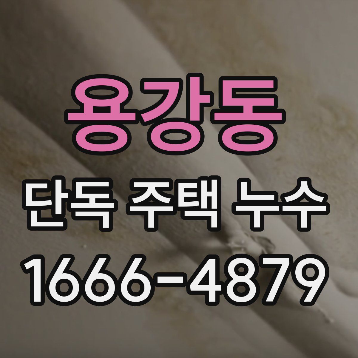 용강동 단독 주택 누수