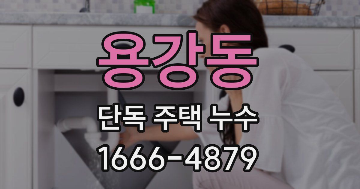 용강동 단독 주택 누수