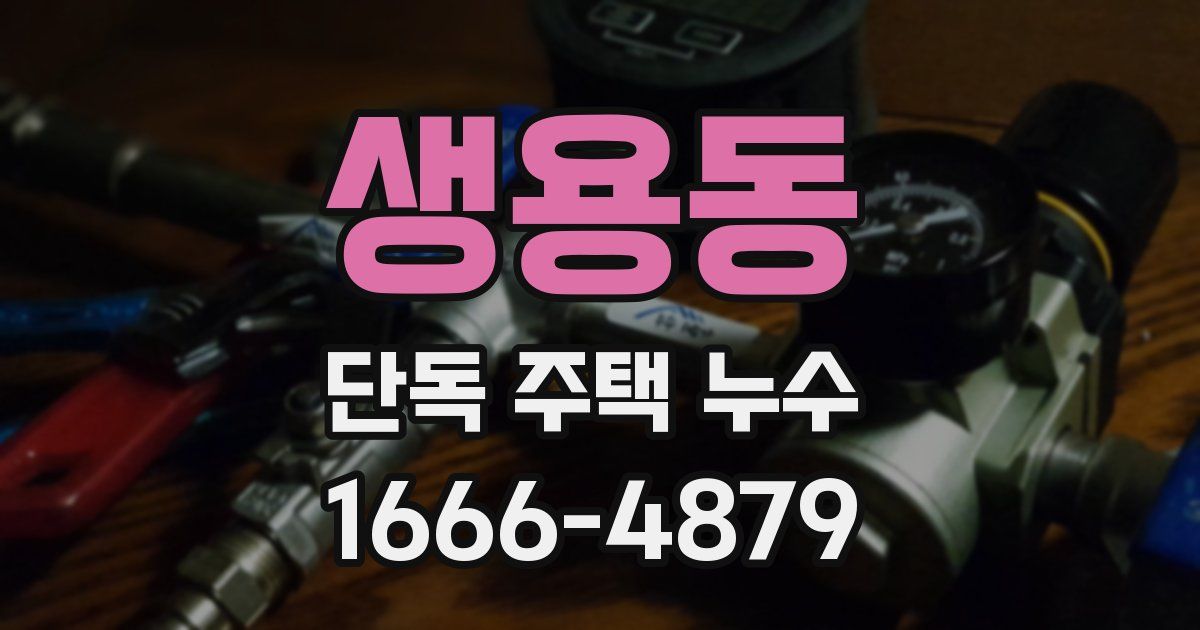 생용동 단독 주택 누수
