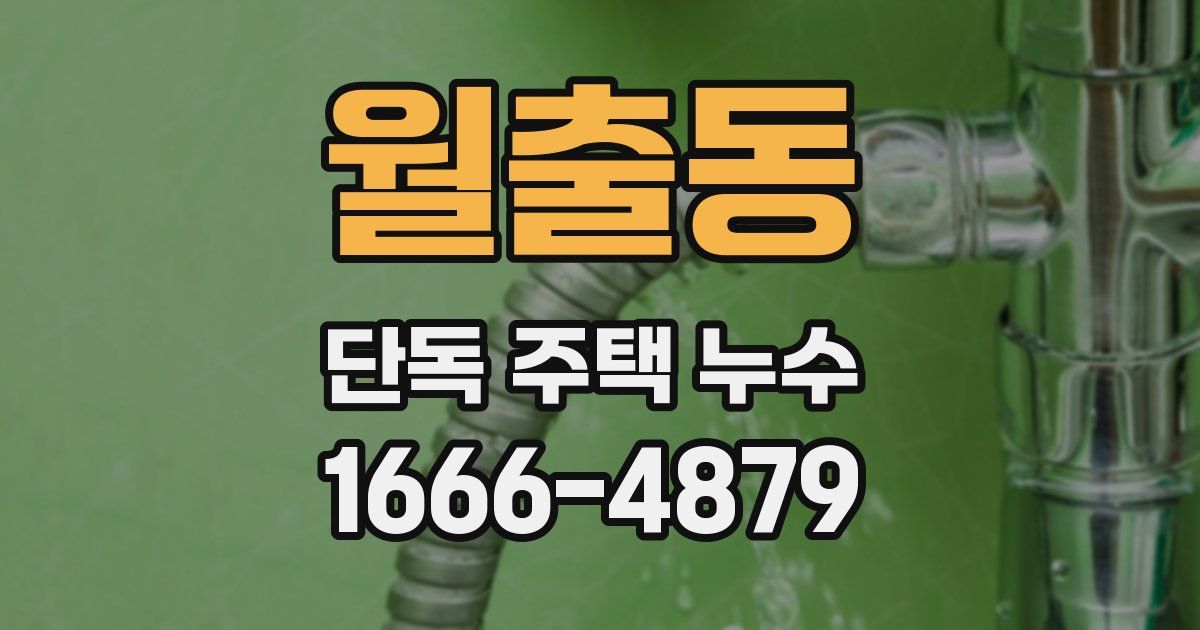 월출동 단독 주택 누수