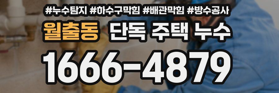 월출동 단독 주택 누수