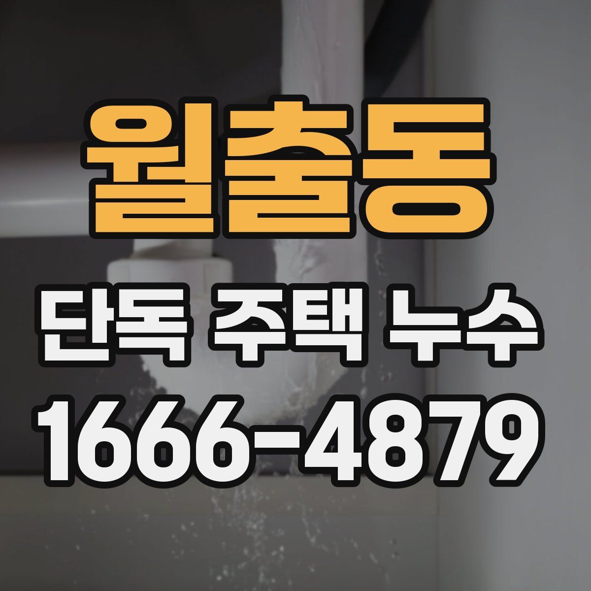 월출동 단독 주택 누수