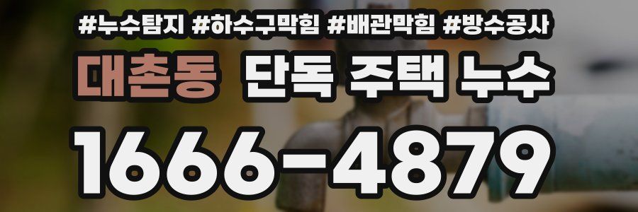 대촌동 단독 주택 누수