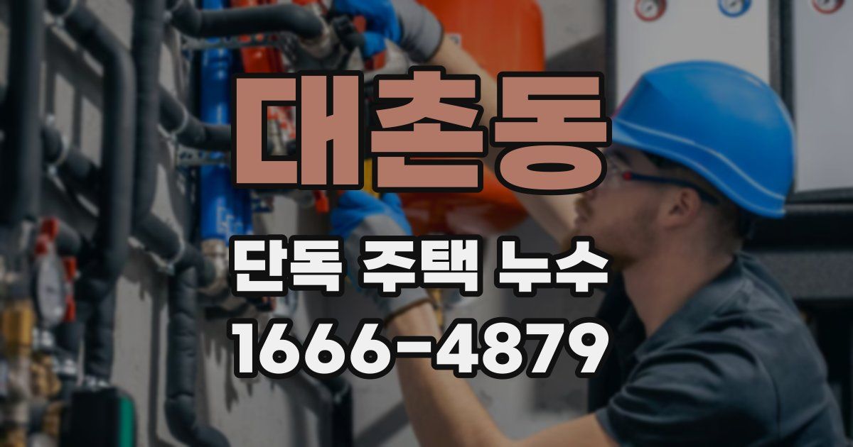 대촌동 단독 주택 누수