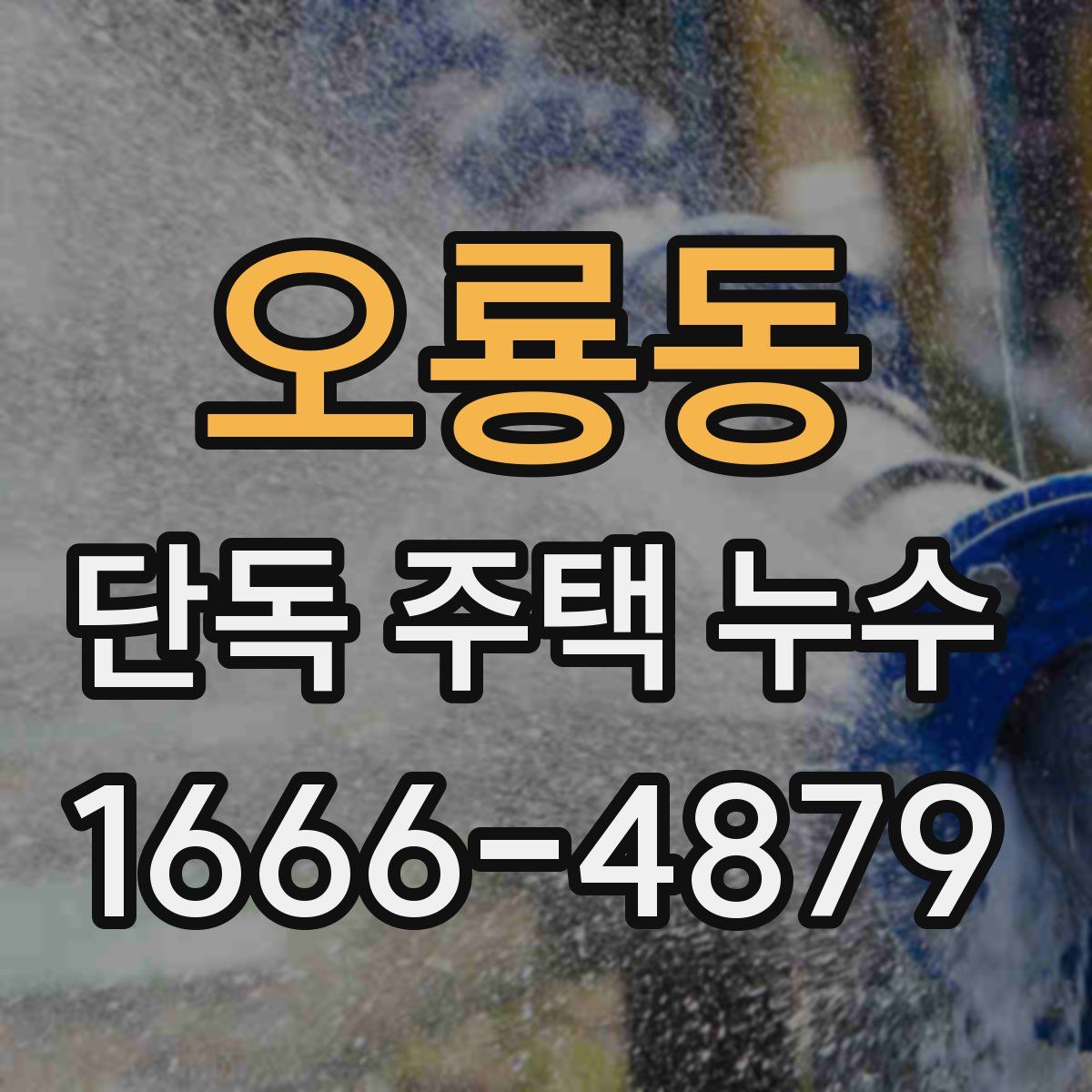오룡동 단독 주택 누수