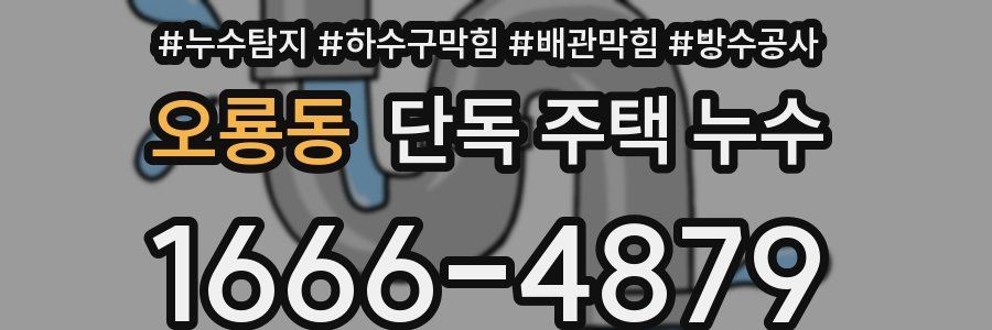 오룡동 단독 주택 누수