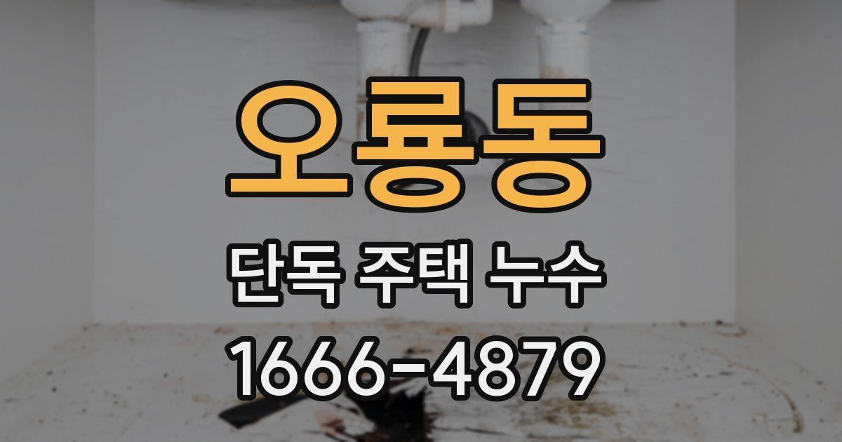 오룡동 단독 주택 누수