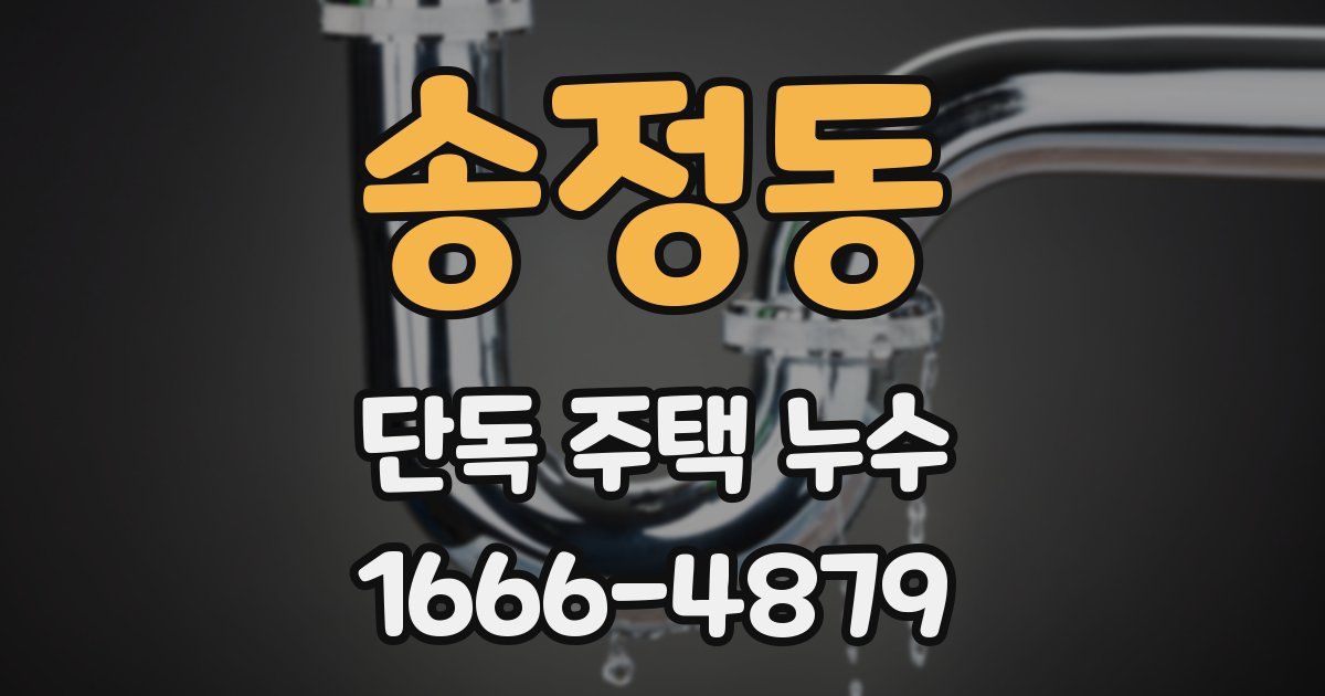 송정동 단독 주택 누수