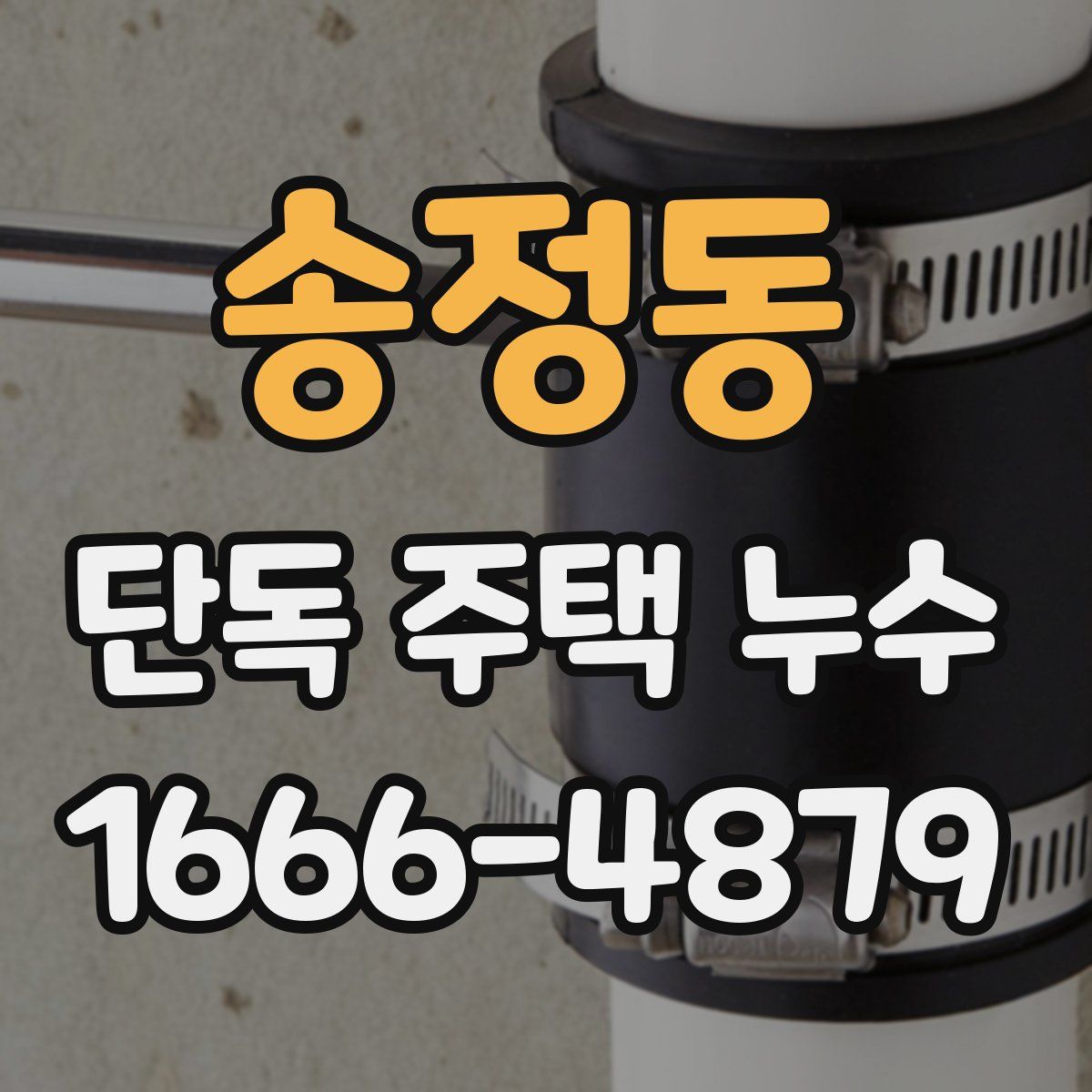 송정동 단독 주택 누수