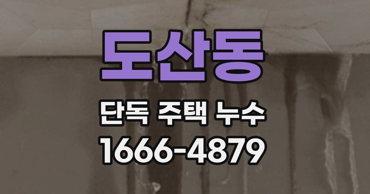 도산동 단독 주택 누수