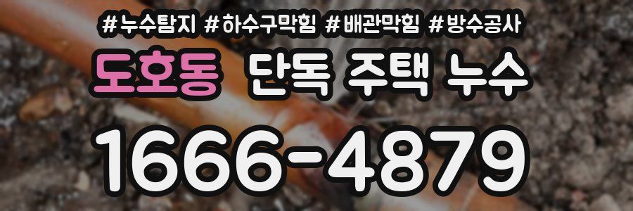 도호동 단독 주택 누수