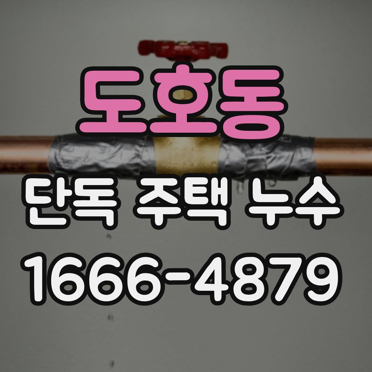 도호동 단독 주택 누수