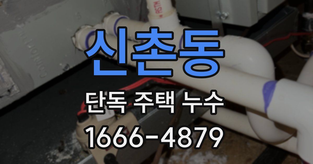 신촌동 단독 주택 누수