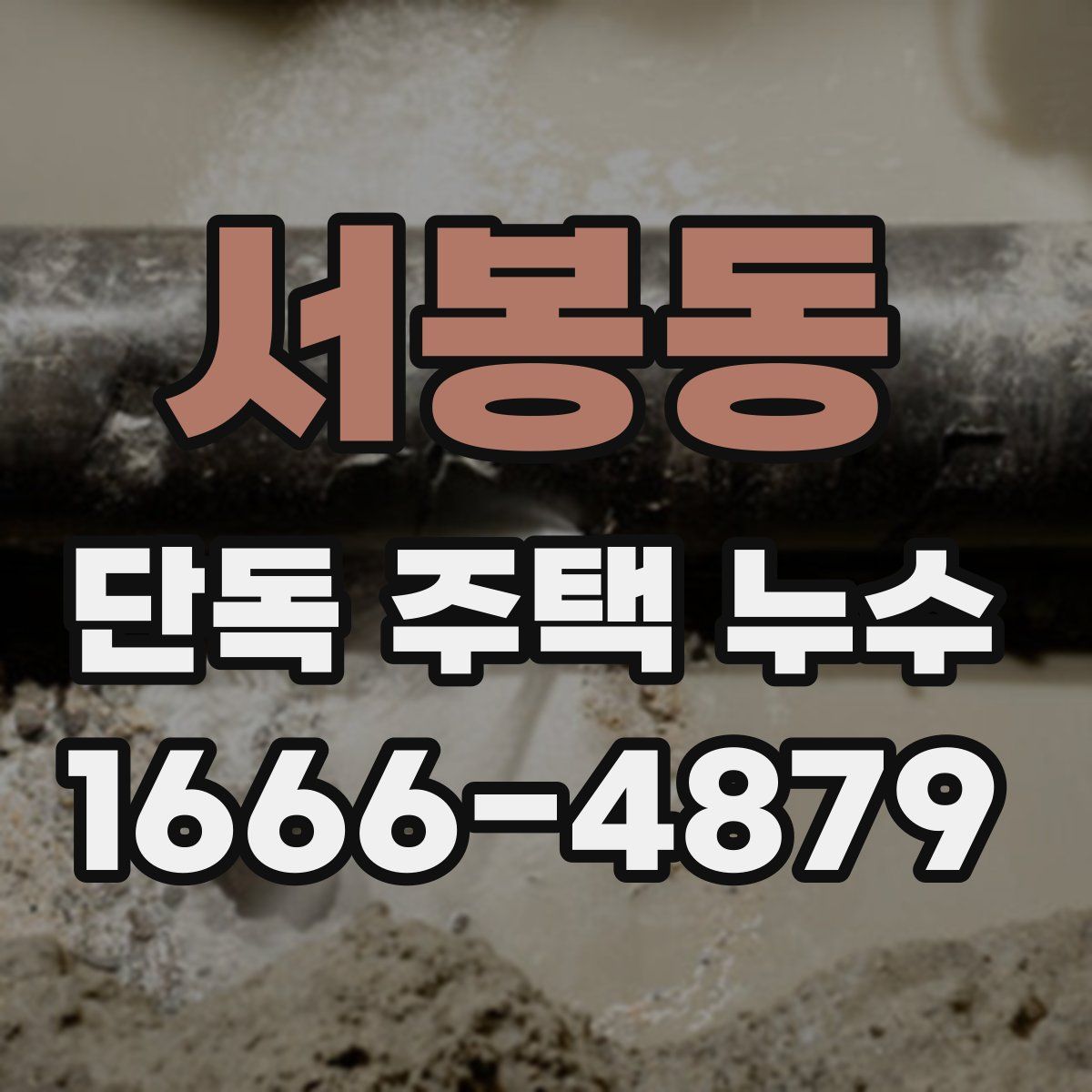 서봉동 단독 주택 누수