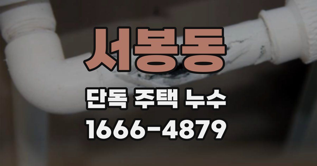 서봉동 단독 주택 누수
