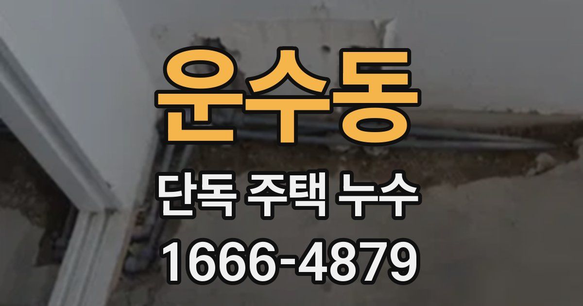 운수동 단독 주택 누수