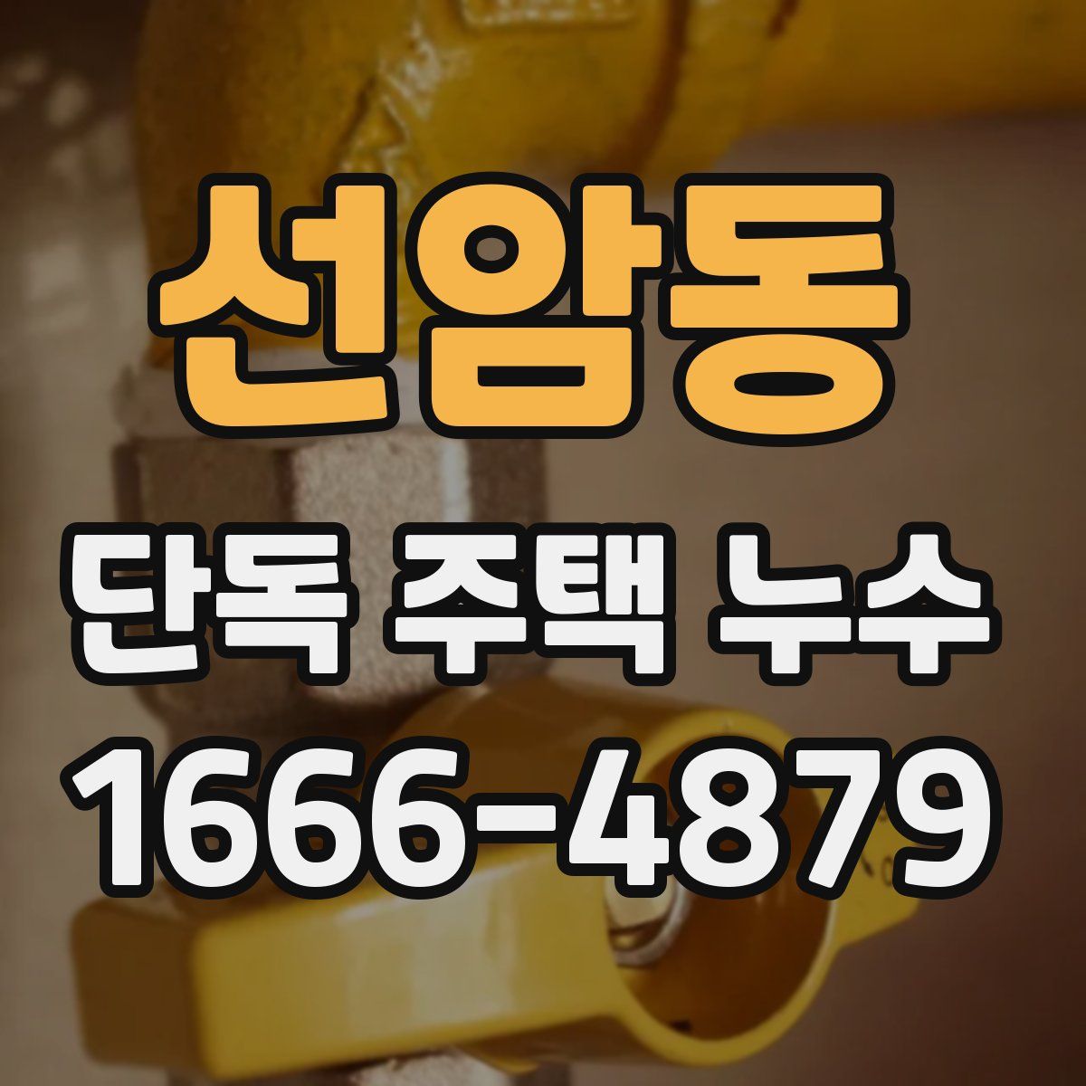 선암동 단독 주택 누수