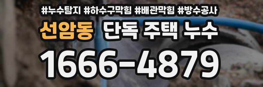 선암동 단독 주택 누수