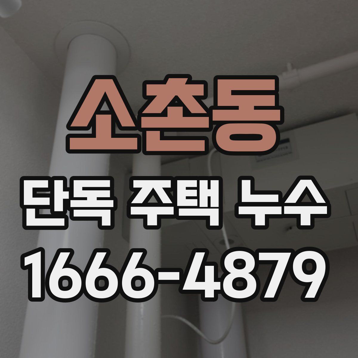 소촌동 단독 주택 누수