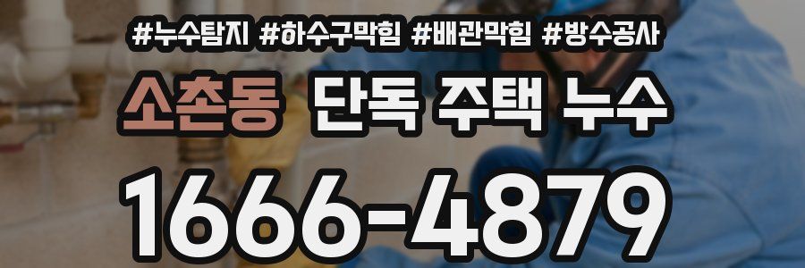 소촌동 단독 주택 누수