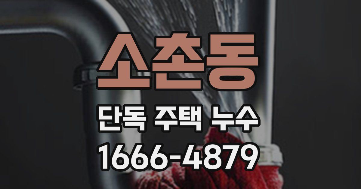 소촌동 단독 주택 누수