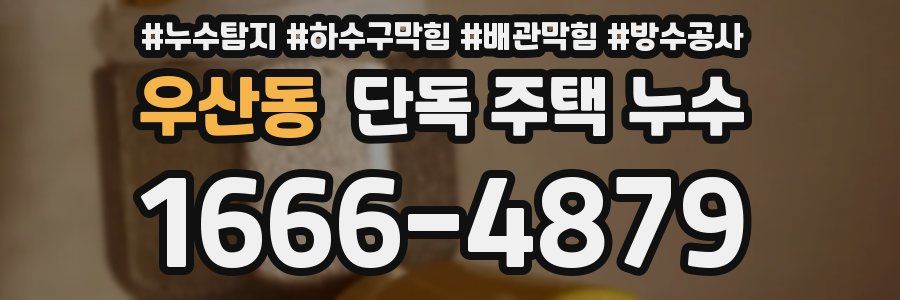 우산동 단독 주택 누수