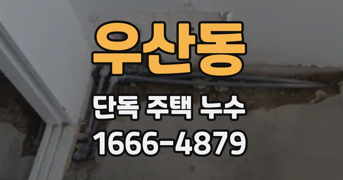 우산동 단독 주택 누수