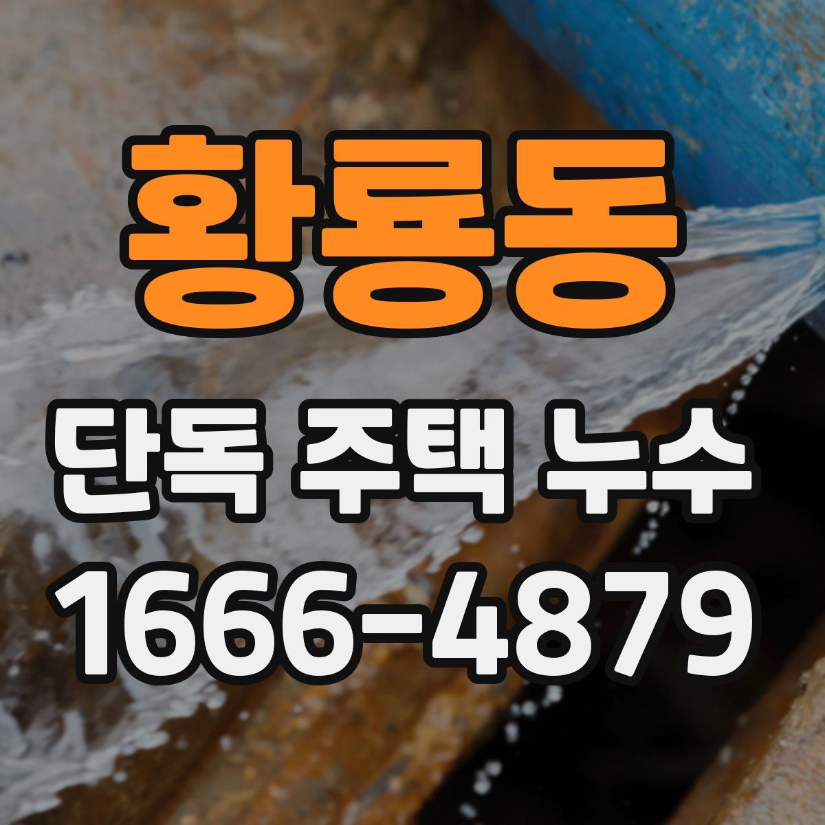 황룡동 단독 주택 누수