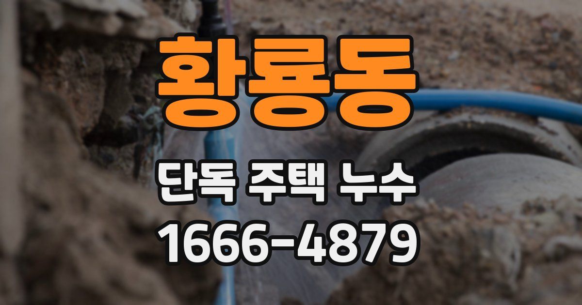 황룡동 단독 주택 누수