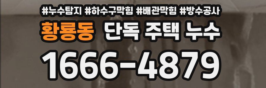 황룡동 단독 주택 누수