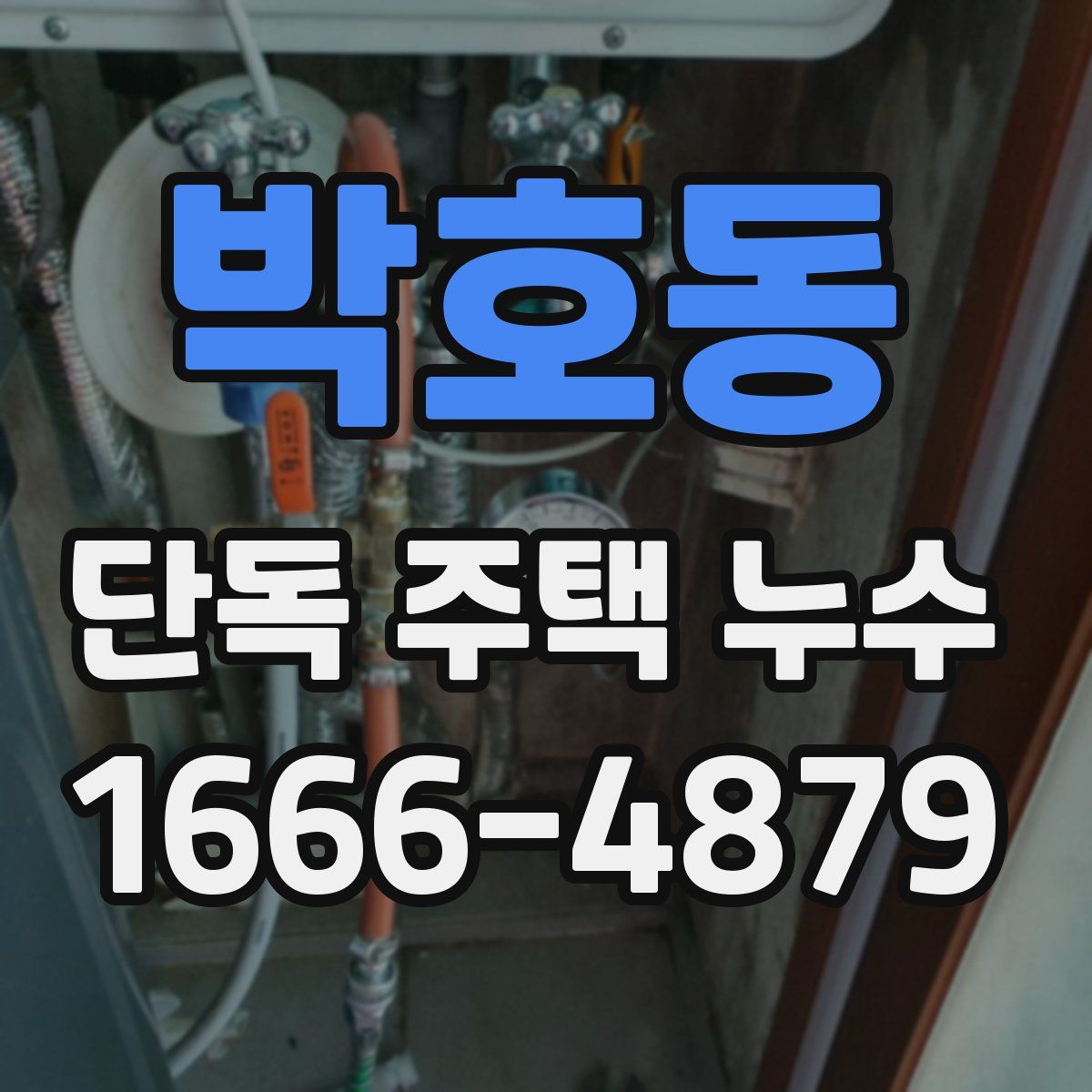 박호동 단독 주택 누수