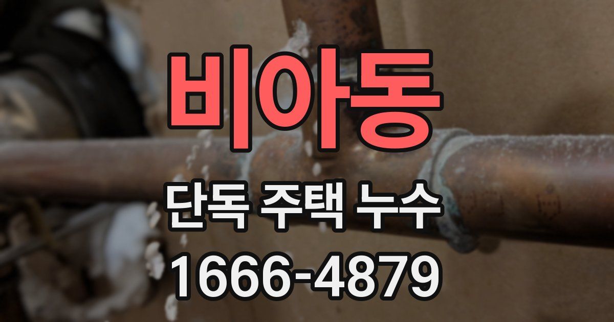 비아동 단독 주택 누수