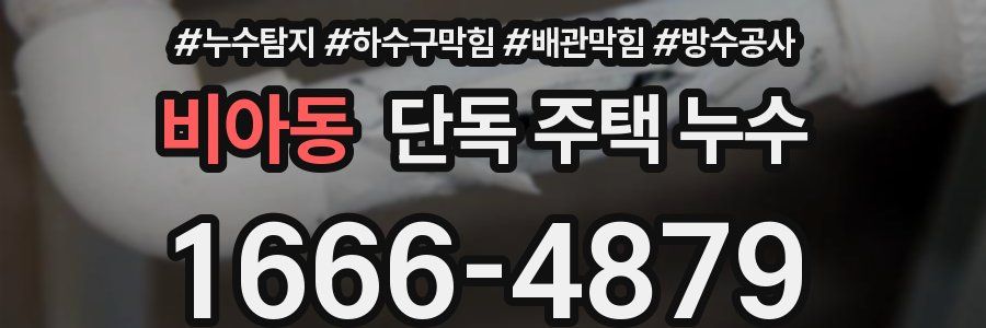 비아동 단독 주택 누수