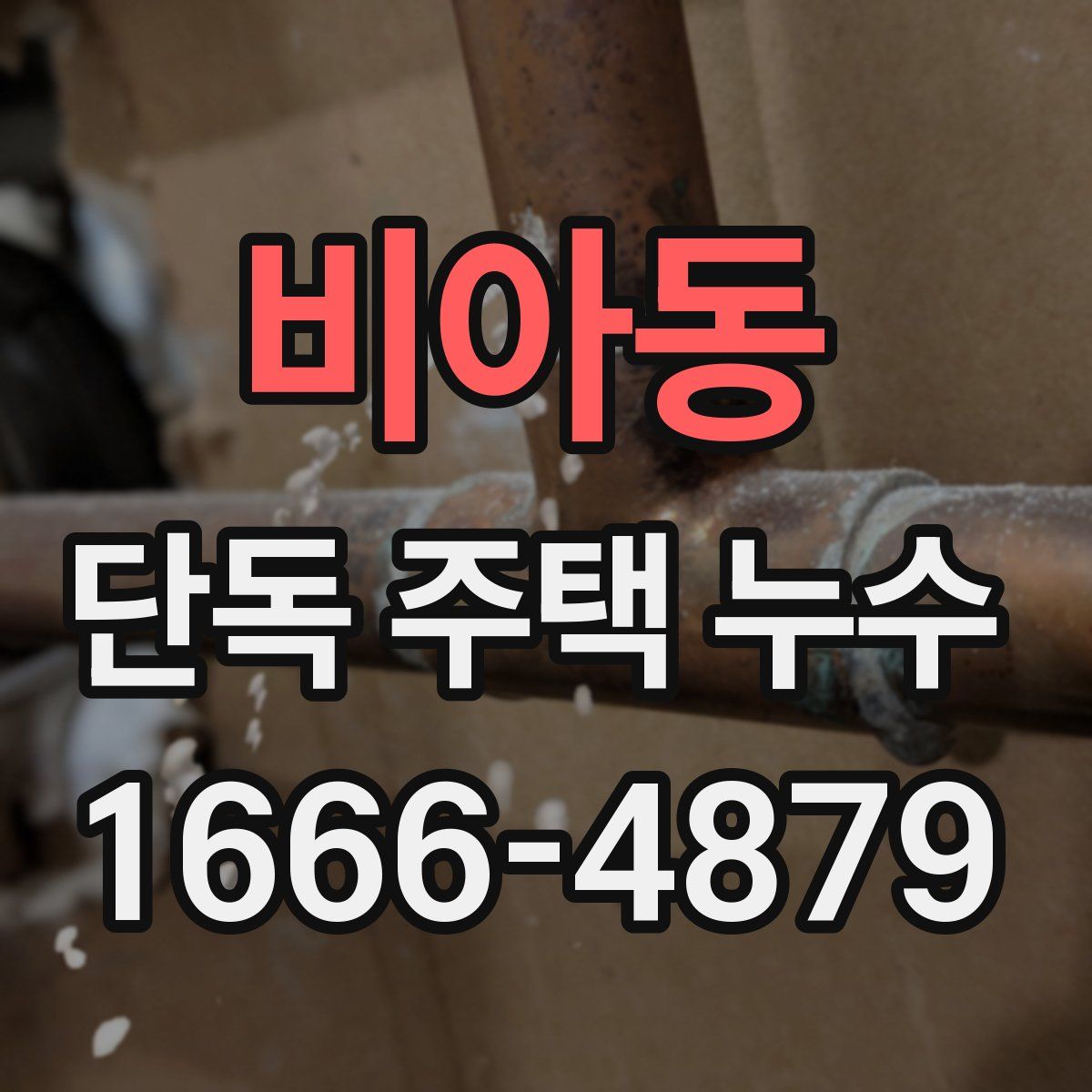 비아동 단독 주택 누수
