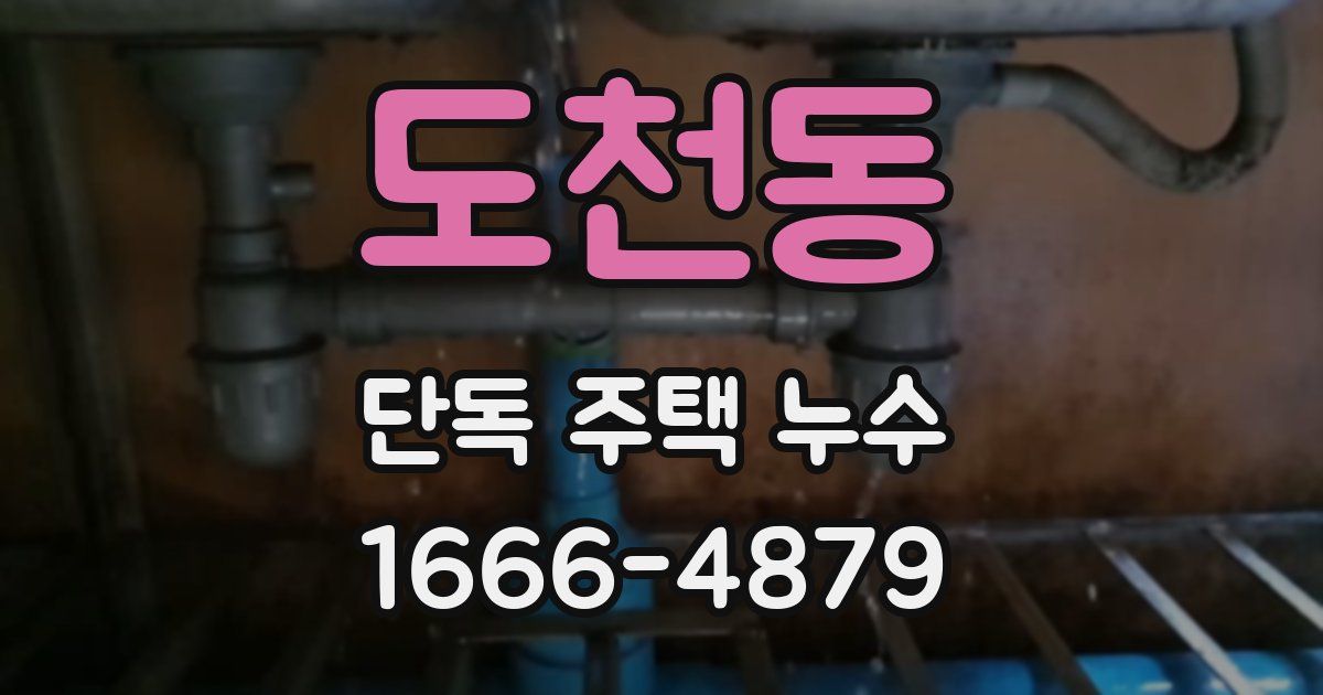 도천동 단독 주택 누수