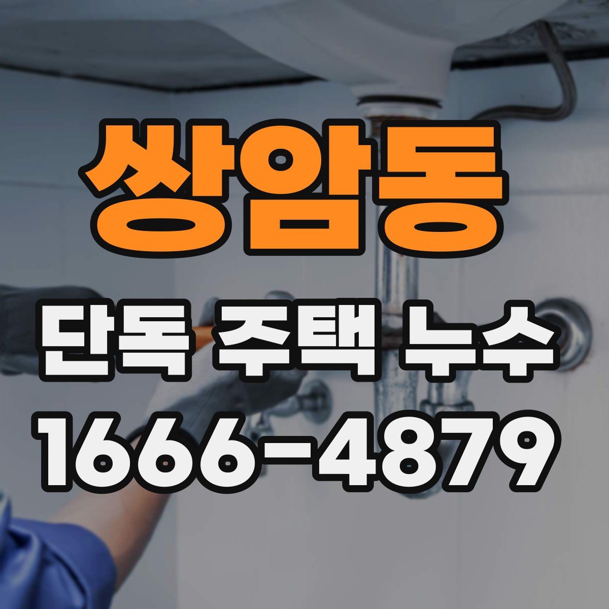 쌍암동 단독 주택 누수
