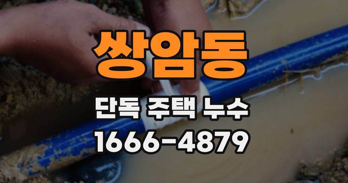 쌍암동 단독 주택 누수