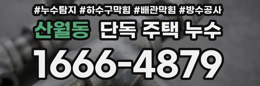 산월동 단독 주택 누수