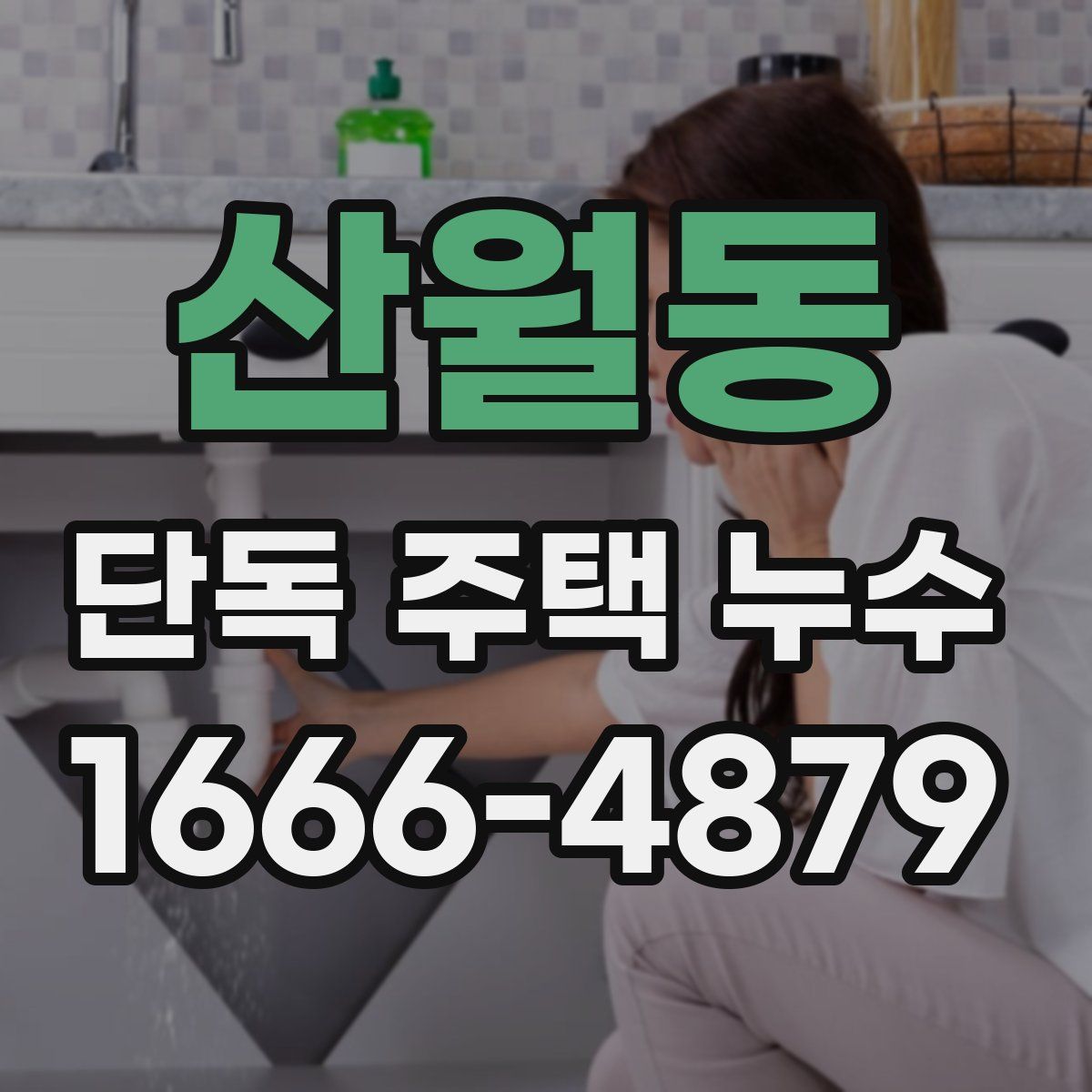 산월동 단독 주택 누수