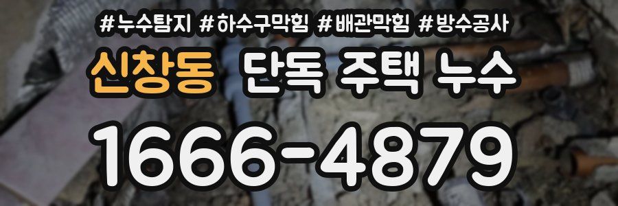 신창동 단독 주택 누수
